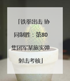 铁拳出击 协同制胜：第80集团军某旅实弹射击考核
