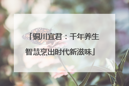 铜川宜君：千年养生智慧烹出时代新滋味