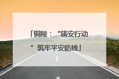 铜陵：“铸安行动”筑牢平安防线