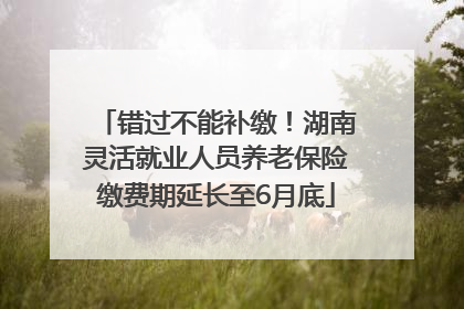 错过不能补缴！湖南灵活就业人员养老保险缴费期延长至6月底