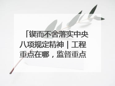锲而不舍落实中央八项规定精神｜工程重点在哪，监督重点就在哪——广西深化政治监督护航平陆运河建设
