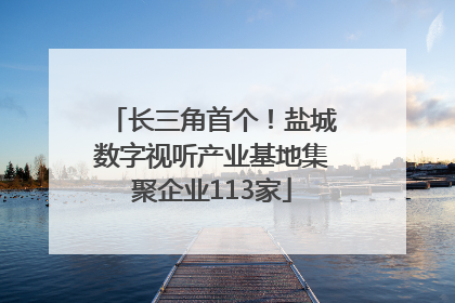 长三角首个！盐城数字视听产业基地集聚企业113家