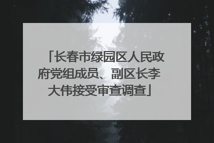 长春市绿园区人民政府党组成员、副区长李大伟接受审查调查