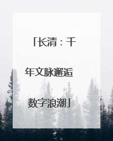 长清：千年文脉邂逅数字浪潮