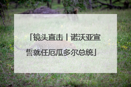 镜头直击丨诺沃亚宣誓就任厄瓜多尔总统