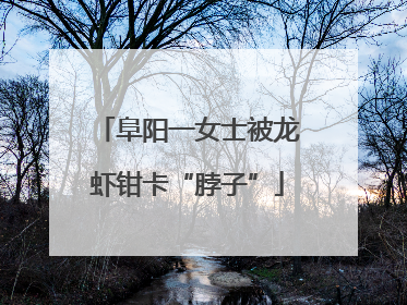 阜阳一女士被龙虾钳卡“脖子”