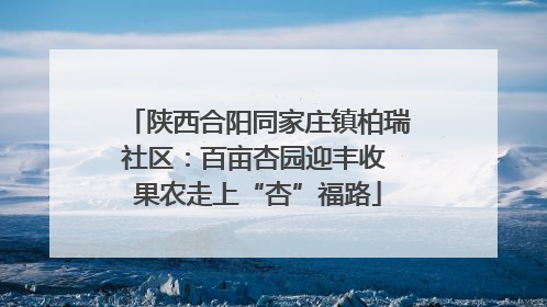 陕西合阳同家庄镇柏瑞社区：百亩杏园迎丰收 果农走上“杏”福路