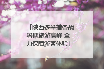 陕西多举措备战暑期旅游高峰 全力保障游客体验