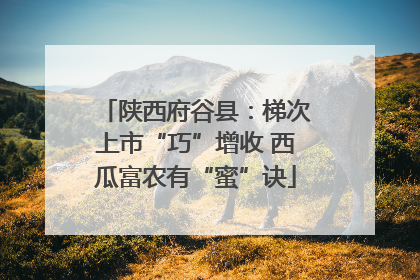 陕西府谷县：梯次上市“巧”增收 西瓜富农有“蜜”诀