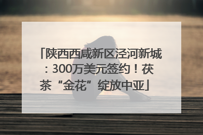 陕西西咸新区泾河新城：300万美元签约！茯茶“金花”绽放中亚