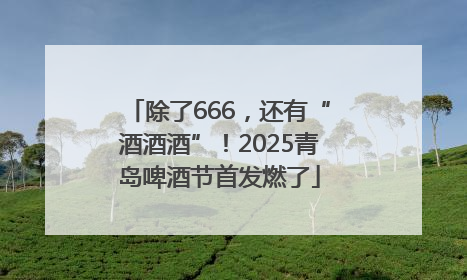 除了666，还有“酒酒酒”！2025青岛啤酒节首发燃了