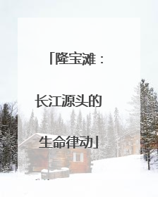 隆宝滩：长江源头的生命律动