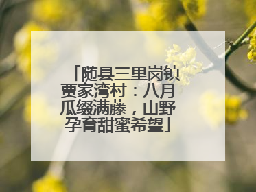 随县三里岗镇贾家湾村：八月瓜缀满藤，山野孕育甜蜜希望