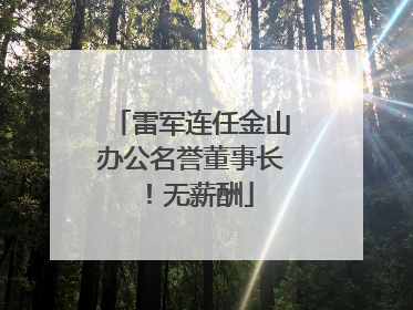 雷军连任金山办公名誉董事长！无薪酬