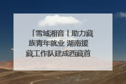 雪域湘音丨助力藏族青年就业 湖南援藏工作队建成西藏首个清洁能源装备园