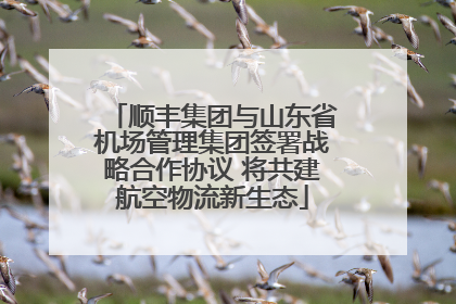顺丰集团与山东省机场管理集团签署战略合作协议 将共建航空物流新生态