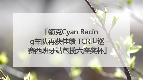 领克Cyan Racing车队再获佳绩 TCR世巡赛西班牙站包揽六座奖杯