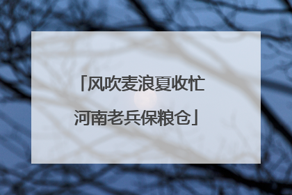 风吹麦浪夏收忙 河南老兵保粮仓