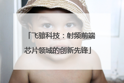 飞骧科技：射频前端芯片领域的创新先锋