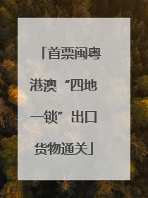 首票闽粤港澳“四地一锁”出口货物通关
