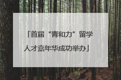 首届“青和力”留学人才嘉年华成功举办