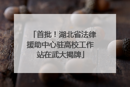 首批！湖北省法律援助中心驻高校工作站在武大揭牌