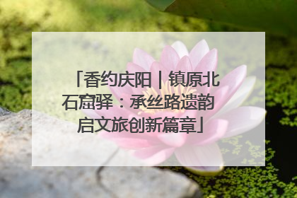 香约庆阳｜镇原北石窟驿：承丝路遗韵 启文旅创新篇章