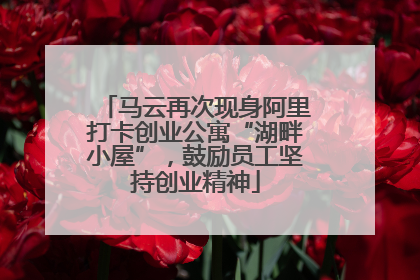 马云再次现身阿里打卡创业公寓“湖畔小屋”，鼓励员工坚持创业精神