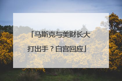 马斯克与美财长大打出手？白宫回应