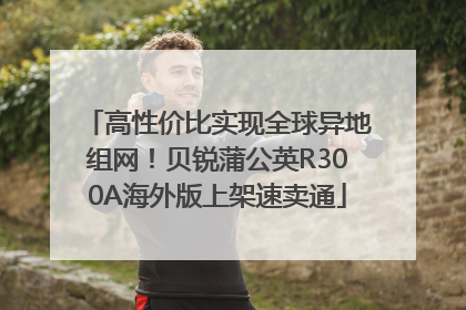 高性价比实现全球异地组网！贝锐蒲公英R300A海外版上架速卖通