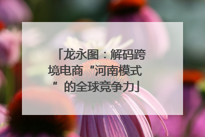 龙永图：解码跨境电商“河南模式”的全球竞争力