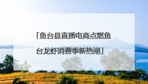 鱼台县直播电商点燃鱼台龙虾消费季新热潮