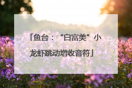 鱼台：“白富美”小龙虾跳动增收音符