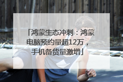 鸿蒙生态冲刺：鸿蒙电脑预约量超12万，手机备货量激增