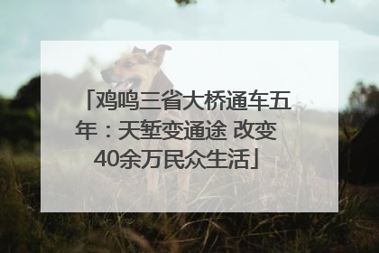 鸡鸣三省大桥通车五年：天堑变通途 改变40余万民众生活