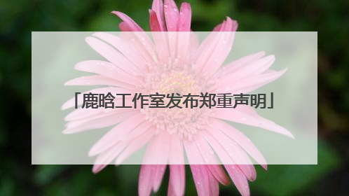 鹿晗工作室发布郑重声明