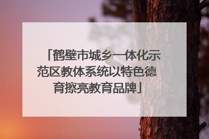 鹤壁市城乡一体化示范区教体系统以特色德育擦亮教育品牌