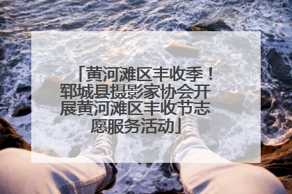 黄河滩区丰收季！郓城县摄影家协会开展黄河滩区丰收节志愿服务活动