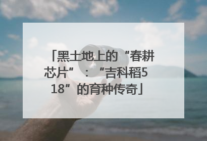黑土地上的“春耕芯片”：“吉科稻518”的育种传奇