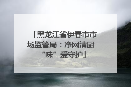 黑龙江省伊春市市场监管局：净网清厨 “味”爱守护