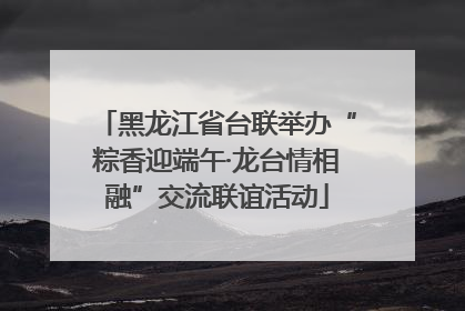 黑龙江省台联举办“粽香迎端午·龙台情相融”交流联谊活动