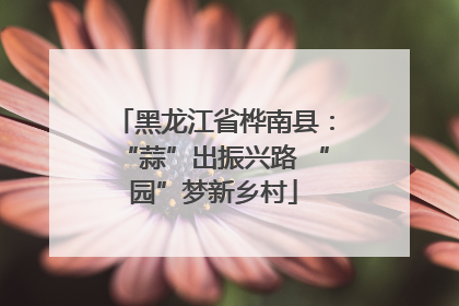黑龙江省桦南县：“蒜”出振兴路 “园”梦新乡村