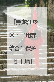 黑龙江垦区：“用养结合”保护黑土地