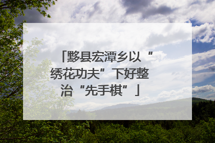 黟县宏潭乡以“绣花功夫”下好整治“先手棋”