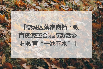 鼎城区蔡家岗镇：教育资源整合试点激活乡村教育“一池春水”