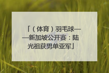 （体育）羽毛球——新加坡公开赛：陆光祖获男单亚军