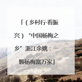 （乡村行·看振兴）“中国杨梅之乡”浙江余姚：一颗杨梅富万家
