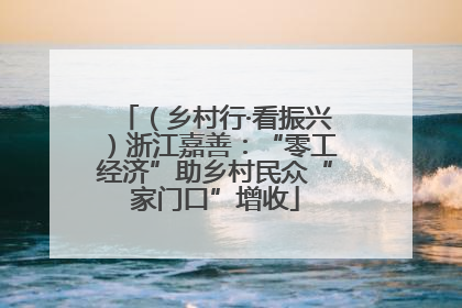 （乡村行·看振兴）浙江嘉善：“零工经济”助乡村民众“家门口”增收