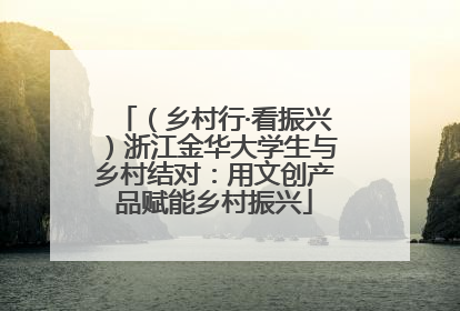 （乡村行·看振兴）浙江金华大学生与乡村结对：用文创产品赋能乡村振兴