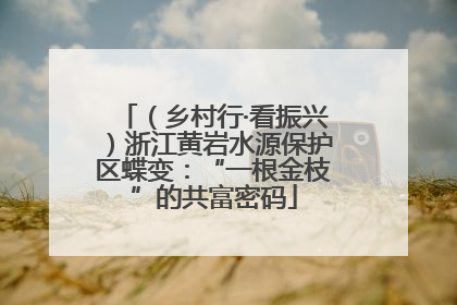 （乡村行·看振兴）浙江黄岩水源保护区蝶变：“一根金枝”的共富密码